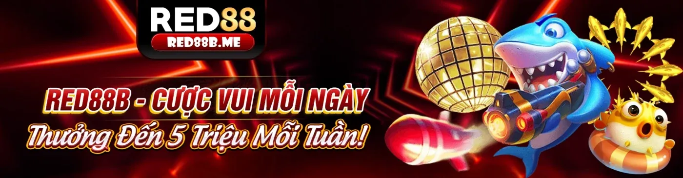 Các chương trình khuyến mãi độc quyền từ 55win55 App