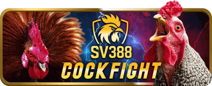 Tổng quan về các chương trình khuyến mãi và ưu đãi của 55win55 app